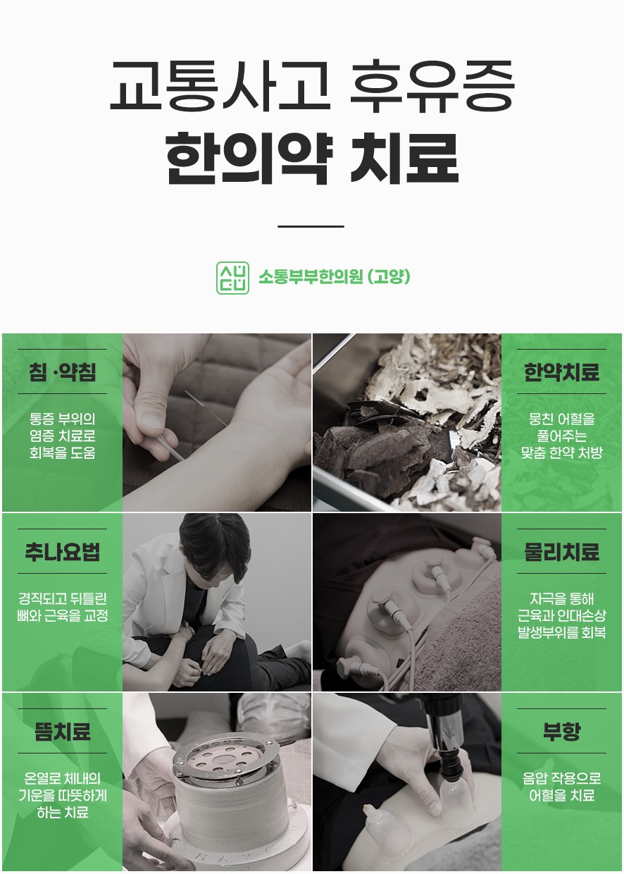 교통사고 후유증 한의약 치료 유형(침과약침·한약·추나·물리·뜸·부항)