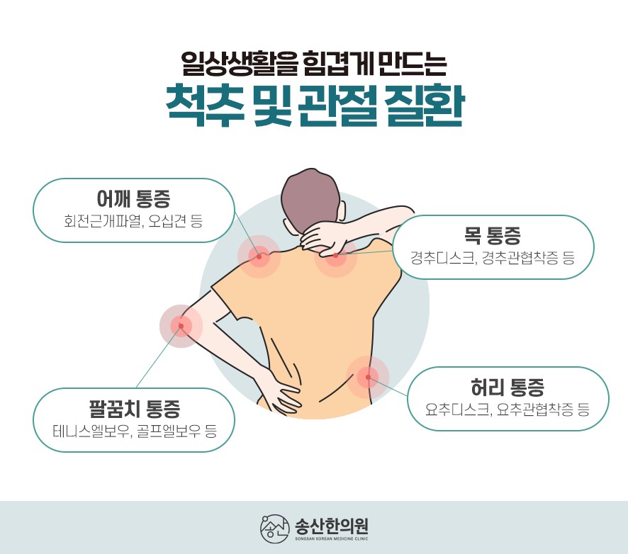 척추 및 관절 질환 유형(어깨,목,팔꿈치,허리)